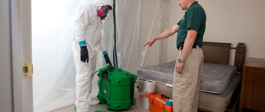 Apache Junction, AZ mold removal process